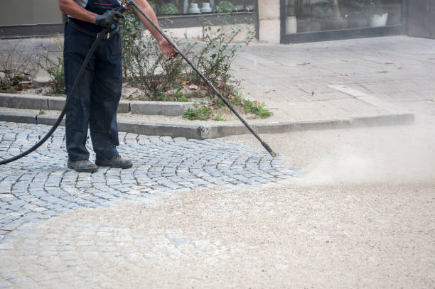 Best Residential House Exterior Washing  in USA